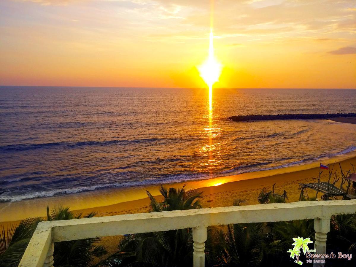 קלוטארה Hotel Coconut Bay מראה חיצוני תמונה